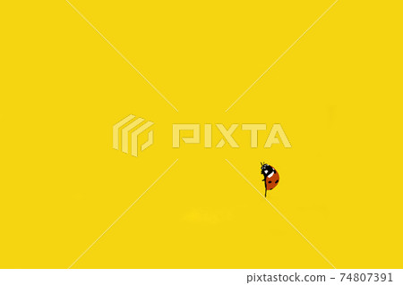 Ladybug Against Yellow Background Illustration 74807391