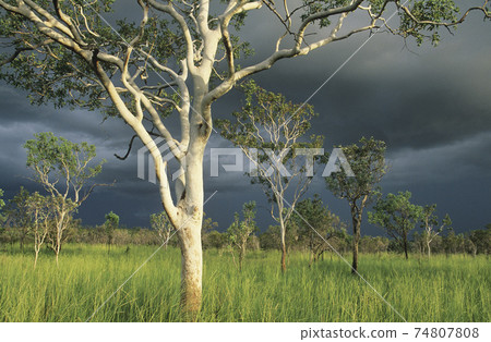 STOCK PHOTOGRAPHY PHOTOS 74807808