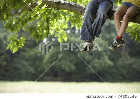 STOCK PHOTOGRAPHY PHOTOS STOCK PHOTOGRAPHY PHOTOS 74808149