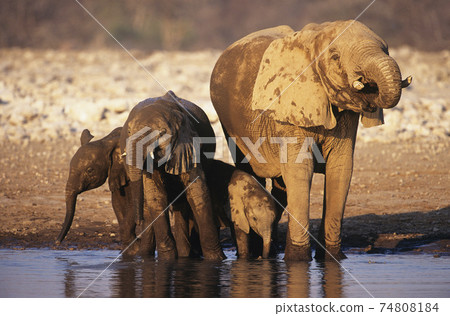 STOCK PHOTOGRAPHY PHOTOS STOCK PHOTOGRAPHY PHOTOS 74808184