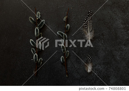 Happy Easter concept. Preparation for holiday. Pussy willow flowers branches feather on trendy grunge scratched dark black stone shale background. Simple minimalism flat lay top view copy space Happy Easter concept. Preparation for holiday. Pussy willow flowers branches feather on trendy grunge scratched dark black stone shale background. Simple minimalism flat lay top view copy space 74808801