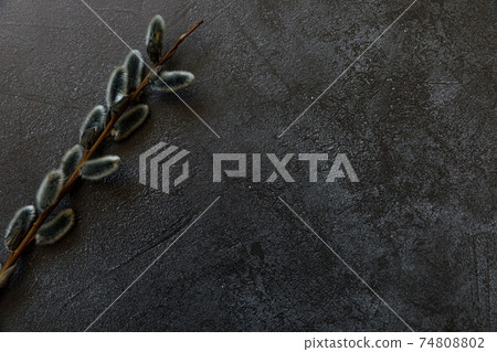 Happy Easter concept. Preparation for holiday. Pussy willow flowers branch on trendy grunge scratched dark black stone shale background. Simple minimalism flat lay top view, copy space Happy Easter concept. Preparation for holiday. Pussy willow flowers branch on trendy grunge scratched dark black stone shale background. Simple minimalism flat lay top view, copy space 74808802