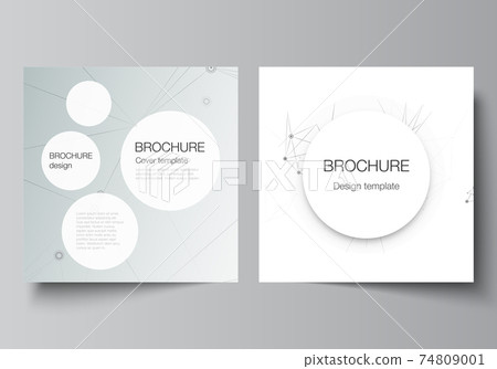 Vector layout of two square covers templates for brochure, flyer, magazine, cover design, book design, brochure cover. Gray technology background with connecting lines and dots. Network concept. 74809001