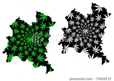 Boucle du Mouhoun Region (Regions of Burkina Faso, Burkina Faso) map is designed cannabis leaf green and black, Boucle du Mouhoun map made of marijuana (marihuana,THC) foliage.... Boucle du Mouhoun Region (Regions of Burkina Faso, Burkina Faso) map is designed cannabis leaf green and black, Boucle du Mouhoun map made of marijuana (marihuana,THC) foliage.... 74809535