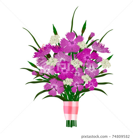 Bouquet of carnations. Cartoon flat style 74809582