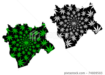 Aktobe Region (Republic of Kazakhstan, Regions of Kazakhstan) map is designed cannabis leaf green and black, Aktobe map made of marijuana (marihuana,THC) foliage.... Aktobe Region (Republic of Kazakhstan, Regions of Kazakhstan) map is designed cannabis leaf green and black, Aktobe map made of marijuana (marihuana,THC) foliage.... 74809583