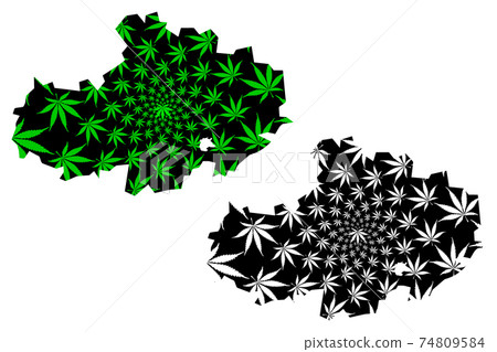 Akmola Region (Republic of Kazakhstan, Regions of Kazakhstan) map is designed cannabis leaf green and black, Akmola map made of marijuana (marihuana,THC) foliage.... Akmola Region (Republic of Kazakhstan, Regions of Kazakhstan) map is designed cannabis leaf green and black, Akmola map made of marijuana (marihuana,THC) foliage.... 74809584