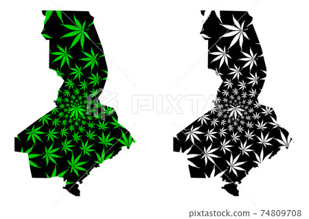 South Kazakhstan Region (Republic of Kazakhstan, Regions of Kazakhstan) map is designed cannabis leaf green and black, Turkistan map made of marijuana (marihuana,THC) foliage.... 74809708