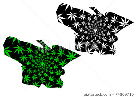Shymkent city (Republic of Kazakhstan, Regions of Kazakhstan) map is designed cannabis leaf green and black, Shymkent map made of marijuana (marihuana,THC) foliage.... 74809710
