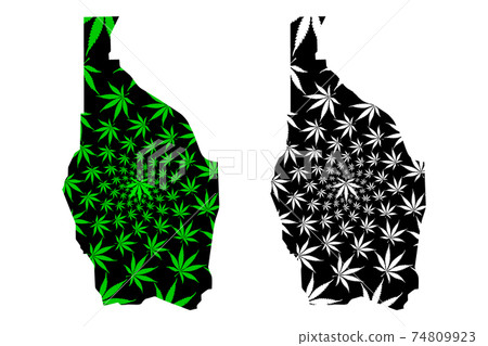 Tahoua Region (Regions of Niger, Republic of the Niger) map is designed cannabis leaf green and black, Tahoua map made of marijuana (marihuana,THC) foliage.... Tahoua Region (Regions of Niger, Republic of the Niger) map is designed cannabis leaf green and black, Tahoua map made of marijuana (marihuana,THC) foliage.... 74809923