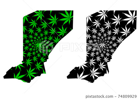 Diffa Region (Regions of Niger, Republic of the Niger) map is designed cannabis leaf green and black, Diffa map made of marijuana (marihuana,THC) foliage.... Diffa Region (Regions of Niger, Republic of the Niger) map is designed cannabis leaf green and black, Diffa map made of marijuana (marihuana,THC) foliage.... 74809929