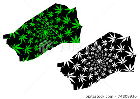 Agadez Region (Regions of Niger, Republic of the Niger) map is designed cannabis leaf green and black, Agadez map made of marijuana (marihuana,THC) foliage.... Agadez Region (Regions of Niger, Republic of the Niger) map is designed cannabis leaf green and black, Agadez map made of marijuana (marihuana,THC) foliage.... 74809930