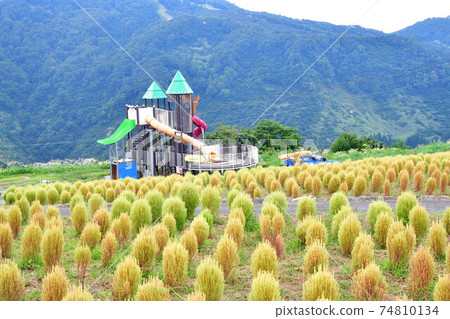 湯澤高原阿爾卑斯村（新潟縣） 74810134