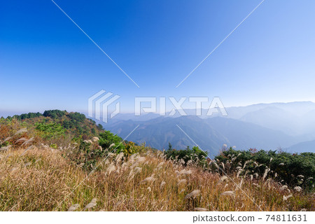 [Suiha Plateau] Suihamine Square and Japanese pampas grass 74811631