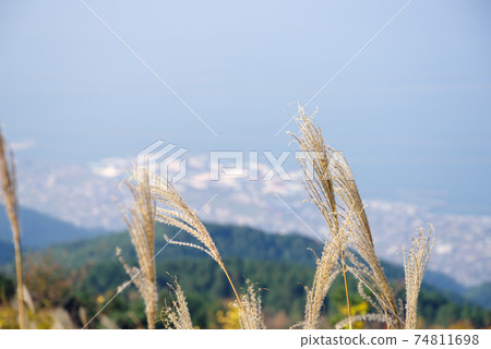 [Suiha Kogen] Japanese pampas grass and Iyo-Mishima bird's-eye view 74811698