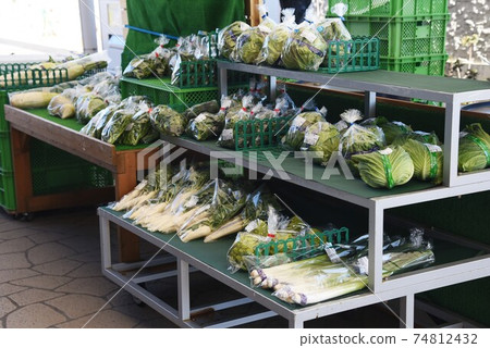 Roadside station / special product sales office 74812432