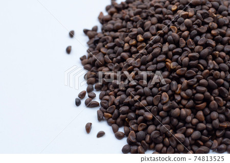 Black seed of morning glory 74813525
