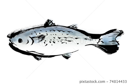 Japanese style hand-drawn illustration material of fish called mullet 74814433