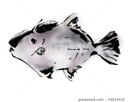 Japanese style hand-drawn illustration material of fish called Kawahagi 74814435