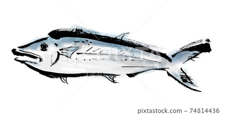 魚的日式手繪插圖素材叫做spanish魚 插圖素材 圖庫