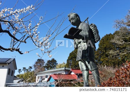 Statue of Kinjiro Ninomiya and plum blossoms Statue of Kinjiro Ninomiya and plum blossoms 74815171