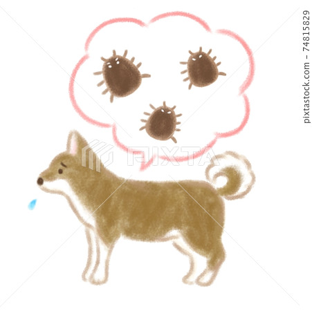 Dog tick hand-drawn illustration 74815829