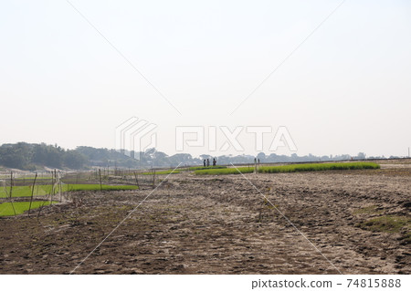 field and sky closeup with nature 74815888
