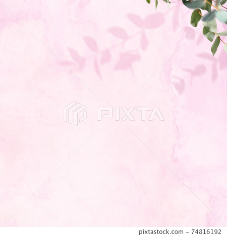 Refreshing image background composed of pink walls and eucalyptus leaves-there are multiple variations 74816192