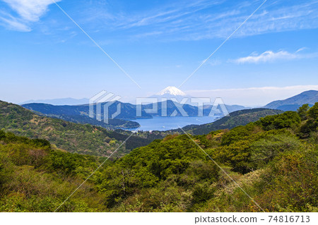 從神奈川縣箱根大觀山天文台附近可以看到蘆之湖和富士山,那裡有美麗的新鮮綠色植物 從神奈川縣箱根大觀山天文台附近可以看到蘆之湖和富士山,那裡有美麗的新鮮綠色植物 74816713