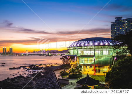 Night view of Dongbaekseom Island in Busan, Korea Night view of Dongbaekseom Island in Busan, Korea 74816767
