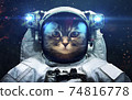 Science fiction space wallpaper with cat astronaut, incredibly beautiful planets, galaxies, dark and cold beauty of endless universe. Elements of this image furnished by NASA 74816778