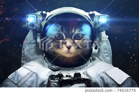 Science fiction space wallpaper with cat astronaut, incredibly beautiful planets, galaxies, dark and cold beauty of endless universe. Elements of this image furnished by NASA Science fiction space wallpaper with cat astronaut, incredibly beautiful planets, galaxies, dark and cold beauty of endless universe. Elements of this image furnished by NASA 74816778