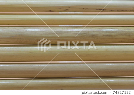 Background material of Japanese pampas grass culm (stem) Background material of Japanese pampas grass culm (stem) 74817152