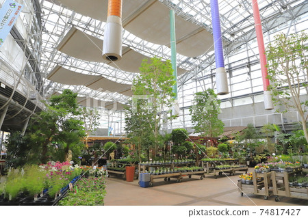 Kawaguchi Ryokka Center Juriyasu Road Station Kawaguchi Angyo 74817427