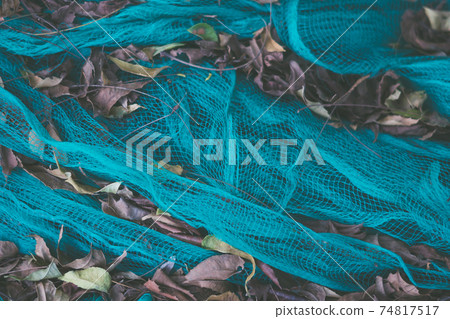 Close-up view of green nylon multi colorful bright fish nets in a pile of dry leaves in fishing village. Still life background pattern. Hobby fishing concept. Copy space. Autumn mood collection 74817517