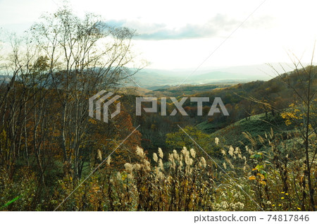 Niseko Panorama Line 74817846