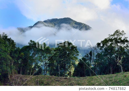 Mountain scenery-Hsinchu Fairy Mountain 74817882
