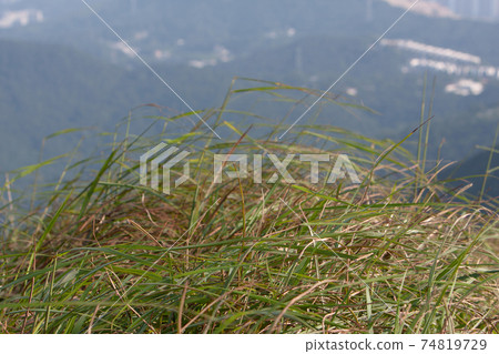 26 Sept 2007 Rolling green hill at sai kung hong kong 74819729