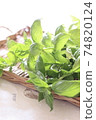Basil picking 74820124