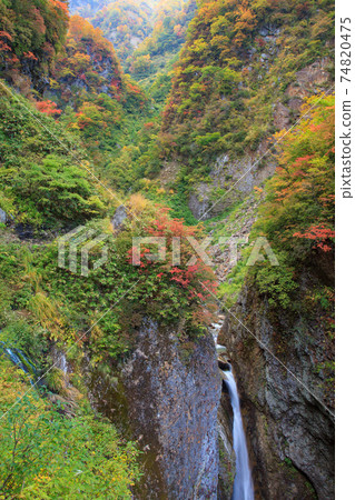 新潟Myoko_秋天離開龔根瀑布 新潟Myoko_秋天離開龔根瀑布 74820475