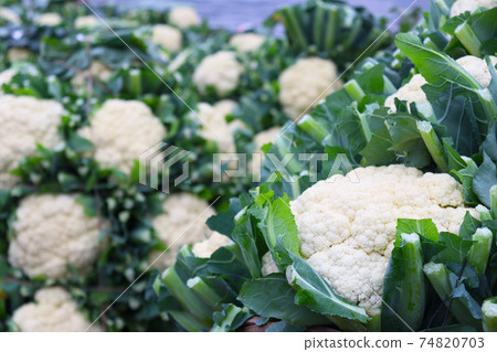 cauliflower stock on boat and market cauliflower stock on boat and market 74820703