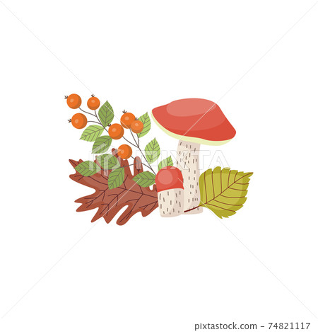 Leccinum aurantiacum edible mushroom, autumn leaves and berries of cranberry. 74821117