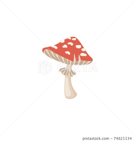 Fly-agaric mushroom characteristic signs, flat vector illustration isolated. 74821134
