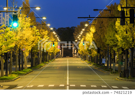 Toyama City_Heiwa-dori Ginkgo Trees 74821219