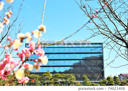 和歌山地方法院 和歌山地方法院 74821408