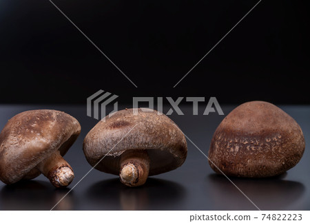 精心挑選的原始香菇“ Noto Temari”的最高峰照片 74822223