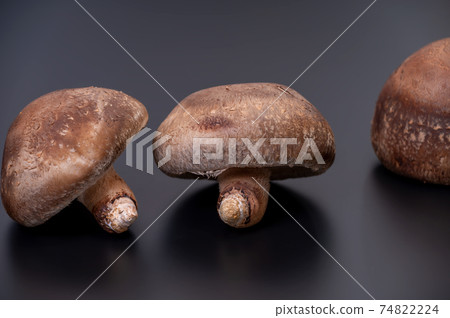精心挑選的原始香菇“ Noto Temari”的最高峰照片 74822224