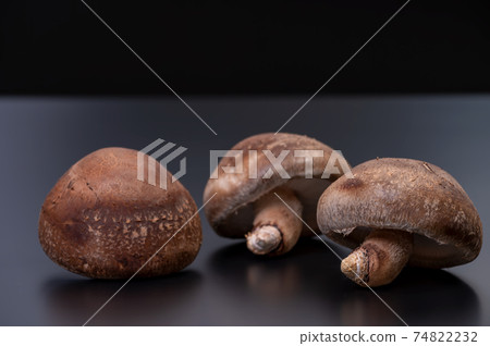 A photo of the highest peak of carefully selected raw shiitake mushroom "Noto Temari" 74822232