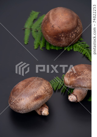 A photo of the highest peak of carefully selected raw shiitake mushroom "Noto Temari" 74822253