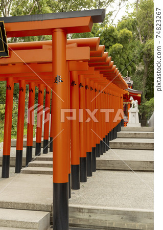 Torii of Ikuta Inari Daimyojin in Sannomiya, Kobe Torii of Ikuta Inari Daimyojin in Sannomiya, Kobe 74823267